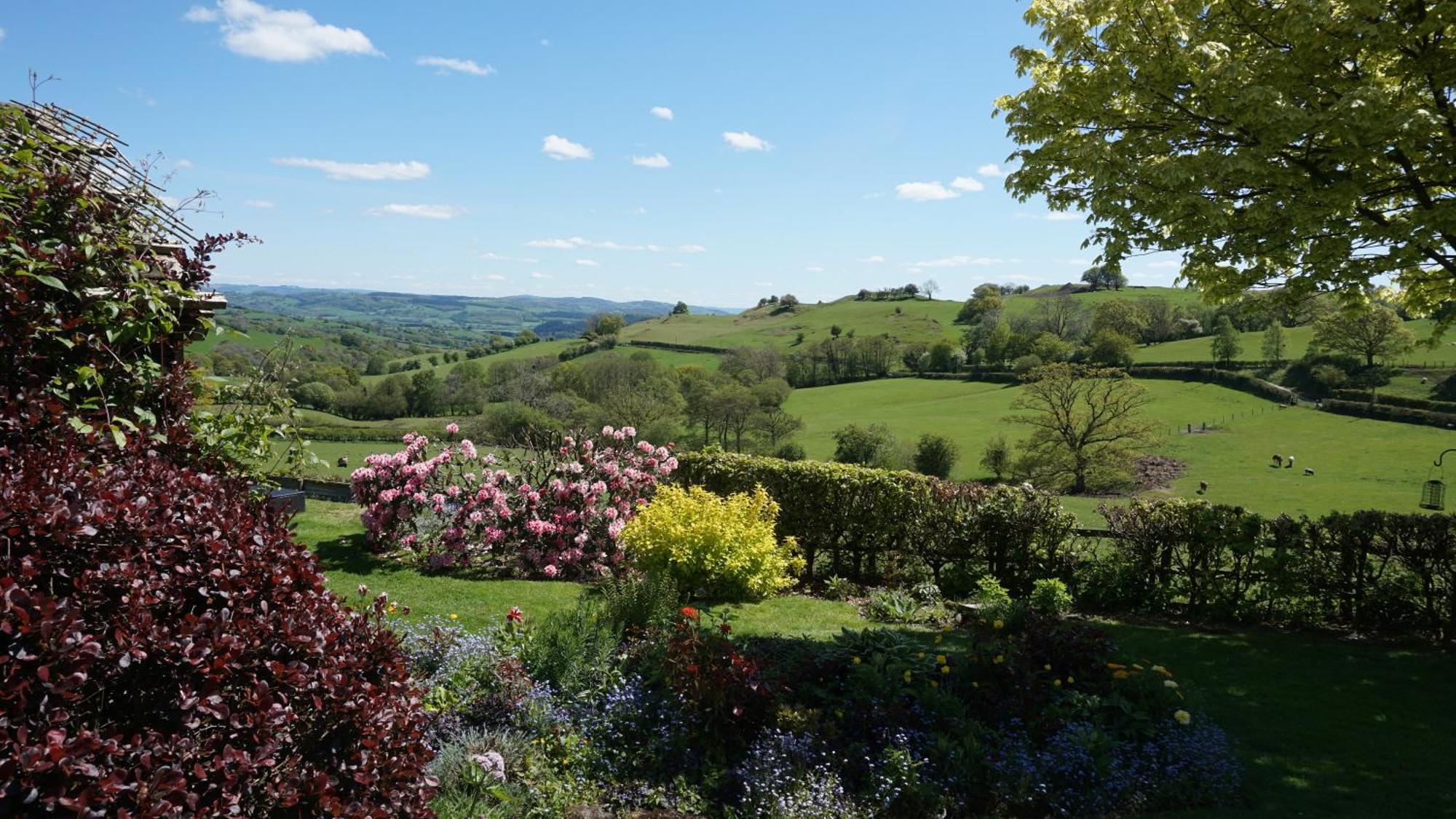 Sheep Dip Cottage - 5* Cyfie Farm, With Log Burner And Private Hot Tub Llanfyllin Exterior foto